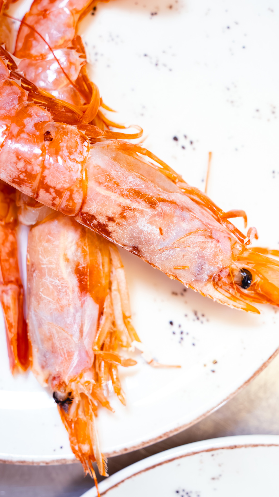 Il tocco finale è questione di equilibrio 🦐✨
Un pizzico di sale completa il risotto con eleganza e freschezza.
📍 Ristorante Fresco Lugano
📩 Info e ordini: orders@maistafood.ch | info@maistafood.ch
#MaistàFood #ItalianFoodExperience #RistoranteFresco #GamberoCrudo #FoodExperience #FoodArt #SwissFoodService #MadeInItaly