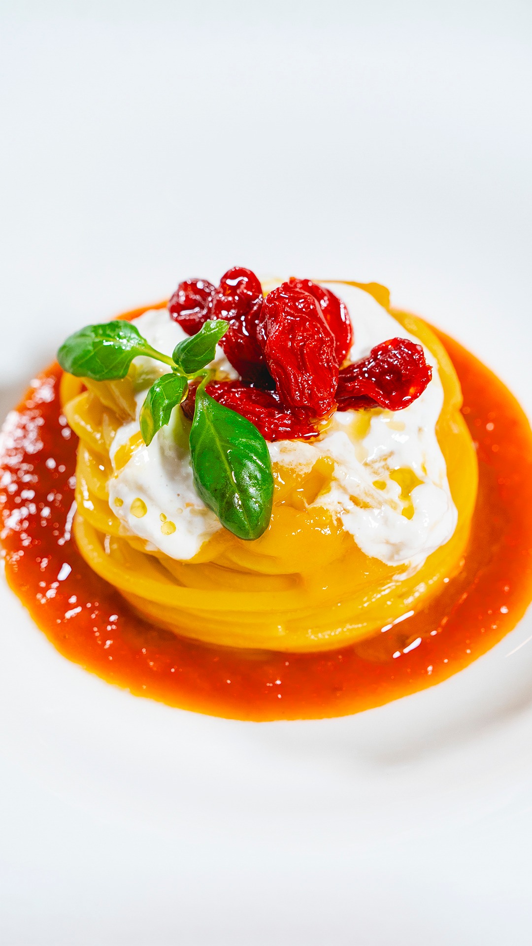 Quando la semplicità è frutto di precisione 🍝✨

Uno spaghettone Gentile che nasce dal dialogo tra due pomodori:
uno profondo e setoso, l’altro luminoso e vivo 🍅
La mantecatura è un gesto misurato, la stracciatella affumicata accompagna senza coprire.
Ogni passaggio ha un tempo, ogni scelta ha un senso.

📍 Freilager – Chef Antonio Colaianni
📩 Info e ordini: orders@maistafood.ch | info@maistafood.ch

#MaistàFood #ItalianFoodExperience #Freilager #ChefAntonioColaianni #FoodArt #SwissFoodService