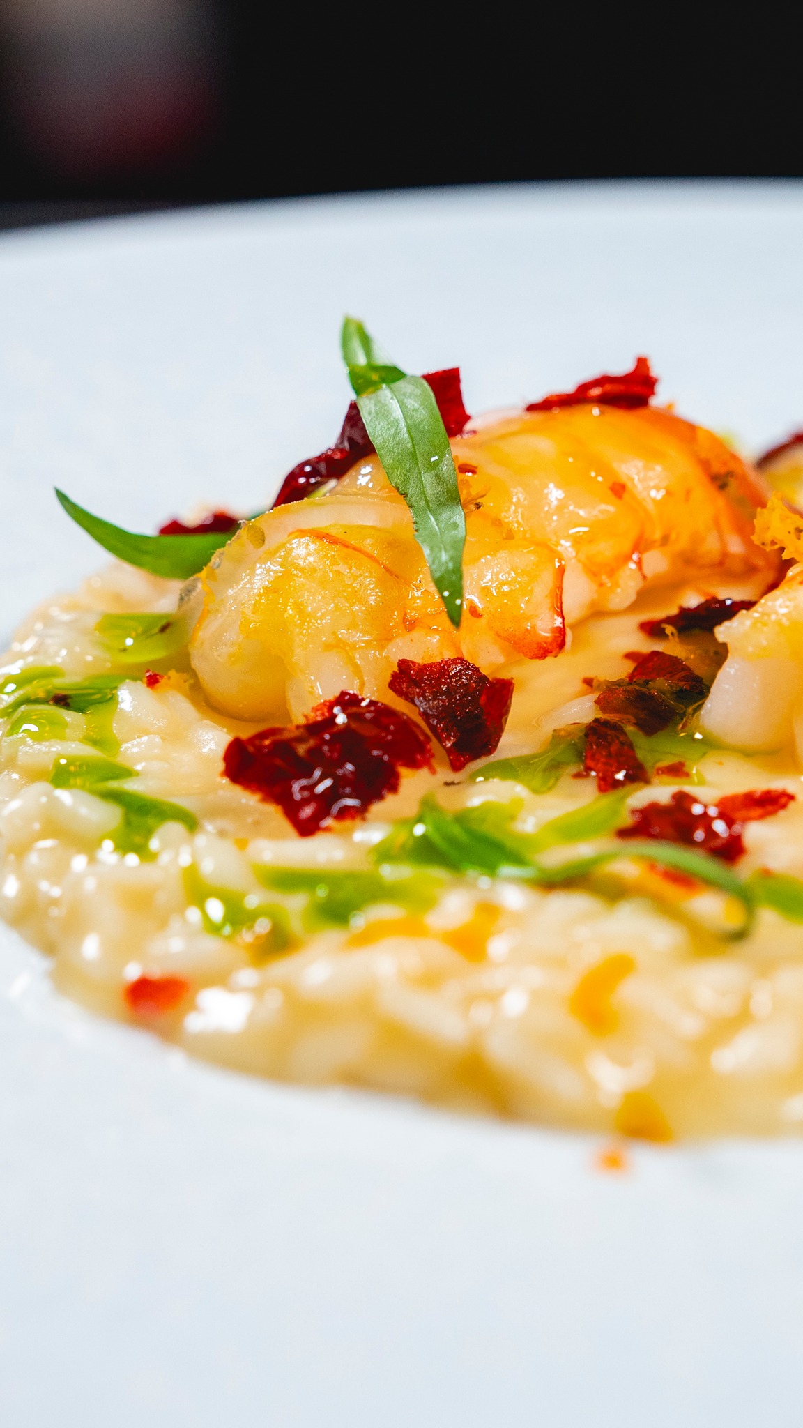 Ci sono piatti che raccontano una visione 🍽️✨

Materia prima selezionata, gesti misurati, tempo rispettato.
Quando cucina e prodotto parlano la stessa lingua, il risultato è naturale.
Freilager x Maistà Food.

📍 Freilager – Chef Antonio Colaianni
📩 Info e ordini: orders@maistafood.ch | info@maistafood.ch

#MaistàFood #ItalianFoodExperience #Freilager #ChefAntonioColaianni #FoodArt #SwissFoodService