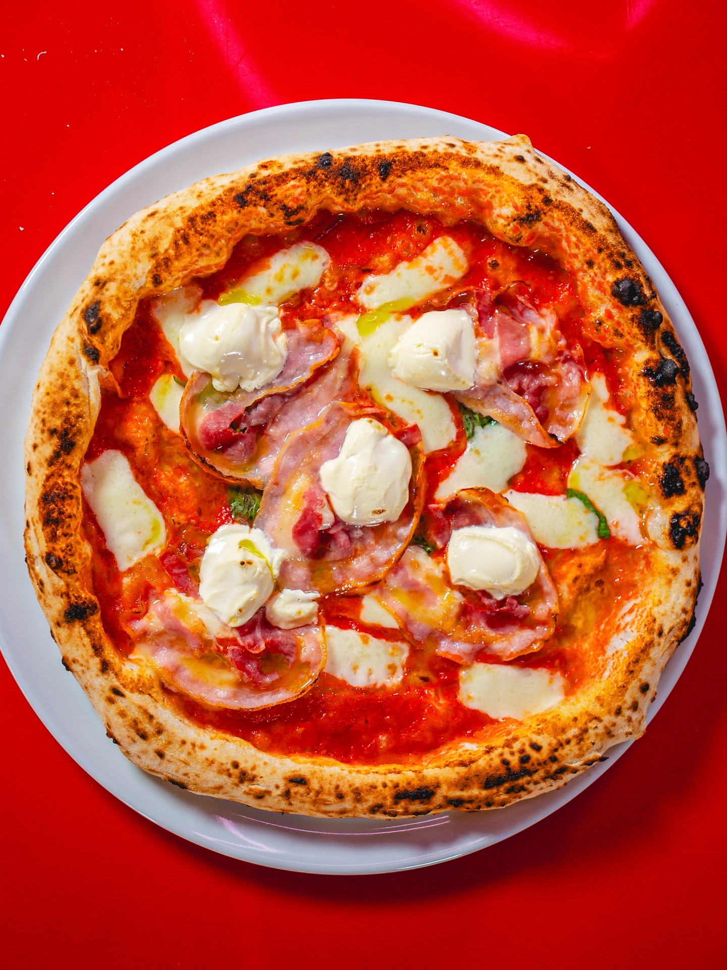 🍕 Cornicione dorato, pomodoro intenso, mozzarella che si scioglie lentamente. 🪩

Ogni dettaglio trova il suo equilibrio.
Il resto… arriva tra poco.

📍 Disco Pizza, Lucerna
📩 Info e ordini: orders@maistafood.ch | info@maistafood.ch

#MaistaFood #ItalianFoodExperience #Pizza #FoodArt #MadeInItaly