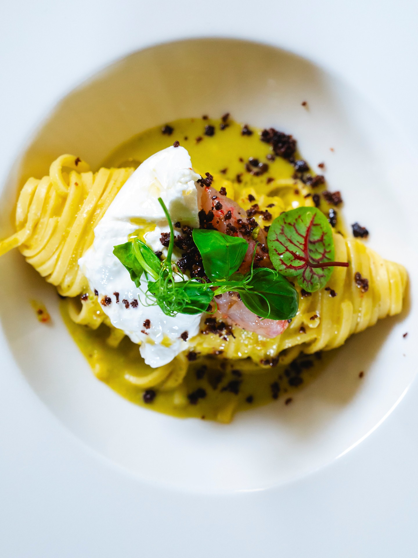 L’eleganza sta nei dettagli. ✨
Tagliolino fresco all’uovo,
pesto di pistacchio,
gambero rosso di Mazara
e burrata Maistà che chiude il piatto con tutta la sua cremosità. 🇮🇹
Un equilibrio di consistenze, profumi e materia prima selezionata.
👨🏻🍳 Chef Mimmo Palmatè
📍 E’cco Restaurant, Baar
📩 Info e ordini: orders@maistafood.ch | info@maistafood.ch
#MaistàFood #ItalianFoodExperience #MadeInItaly #FoodArt #SwissFoodService