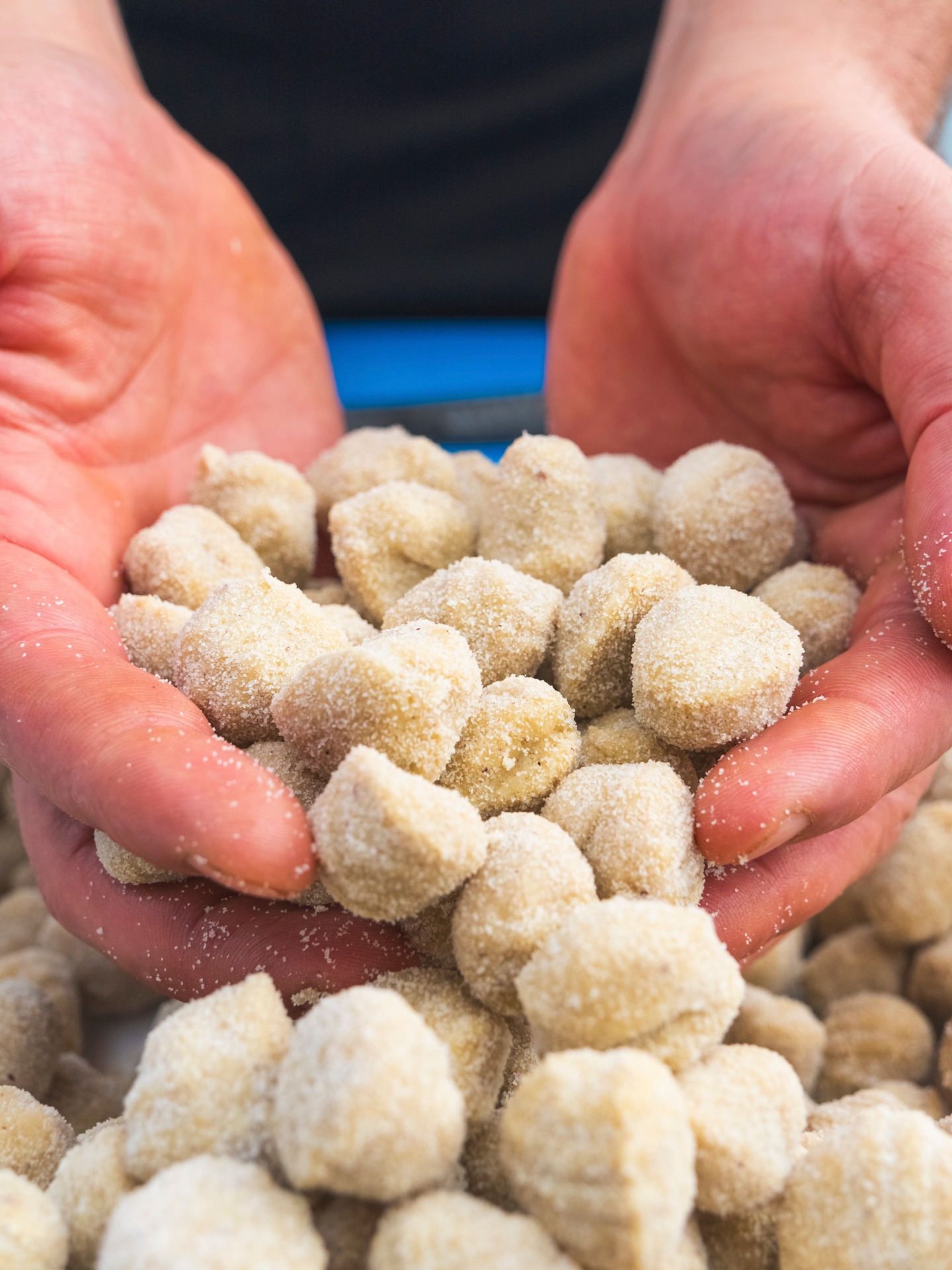 Piccoli nella forma, grandi nella tradizione.
Gli gnocchi raccontano una cucina fatta di gesti semplici, consistenze morbide e quella capacità tutta italiana di trasformare pochi ingredienti in qualcosa di speciale.
Pronti ad accogliere il condimento, dal più delicato al più deciso, sono un grande classico che non smette mai di conquistare.
📩 Info e ordini: orders@maistafood.ch | info@maistafood.ch
#MaistaFood #ItalianFoodExperience #Gnocchi #MadeInItaly #SwissFoodService