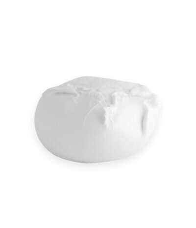 Mozzarella di bufala dop maista 125-250-500g