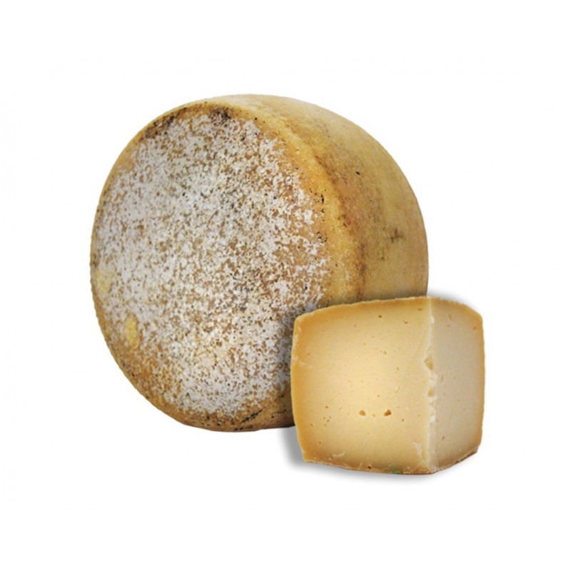 formaggio-sardo-jpg